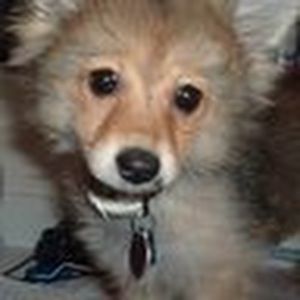 Meet your Posher, Natasha